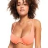 Roxy Beach Classics Underwired D-Cup Bikini Top